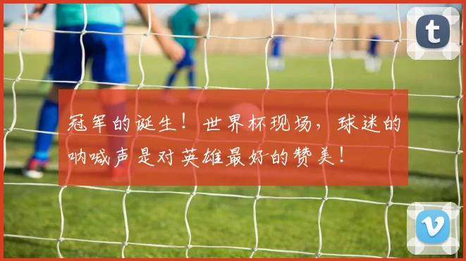 冠军的诞生!世界杯现场,球迷的呐喊声是对英雄最好的赞美!