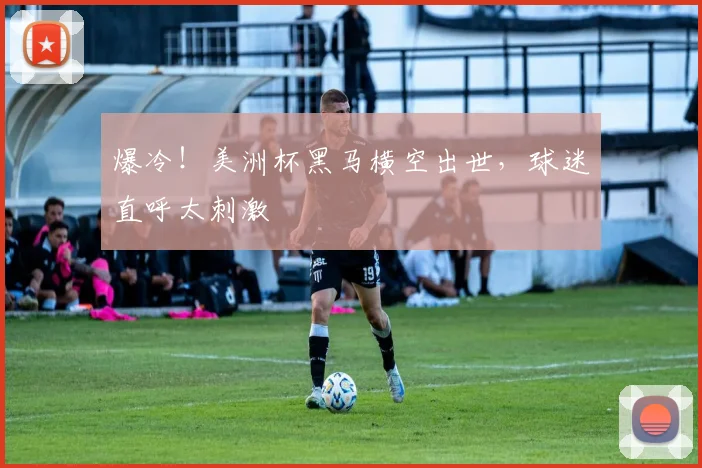 爆冷！美洲杯黑马横空出世，球迷直呼太刺激
