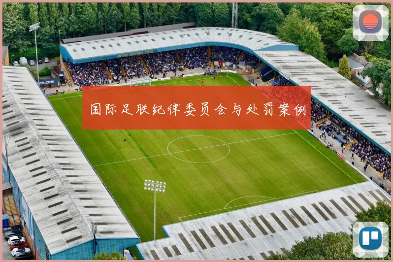 国际足联纪律委员会与处罚案例