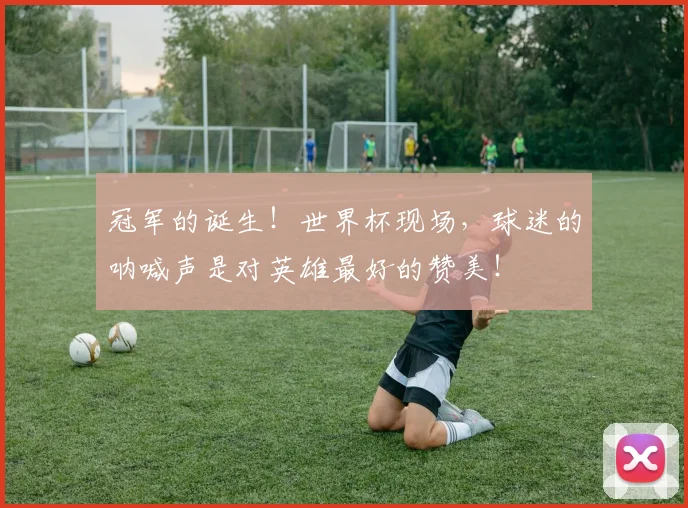 冠军的诞生!世界杯现场,球迷的呐喊声是对英雄最好的赞美!