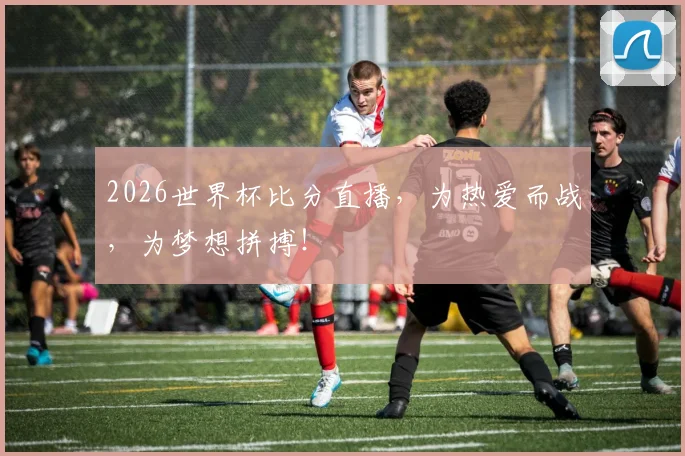 2026世界杯比分直播，为热爱而战，为梦想拼搏！