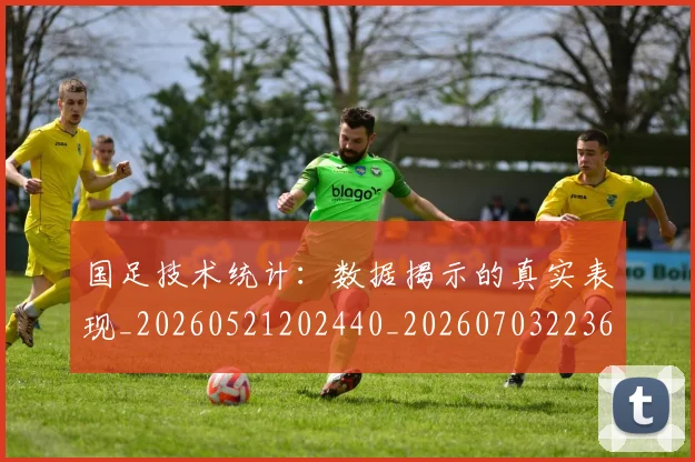 国足技术统计：数据揭示的真实表现_20260521202440_20260703223608