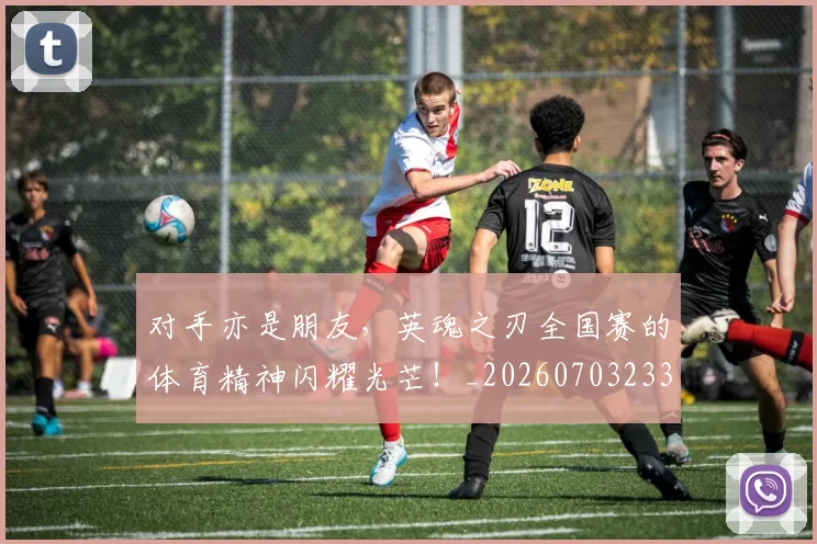 对手亦是朋友,英魂之刃全国赛的体育精神闪耀光芒!_20260703233720_20260722150817